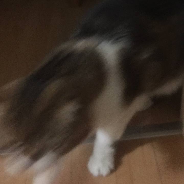 76ed33b4 47ab 4f0c 99d3 7b2b63b1e59f