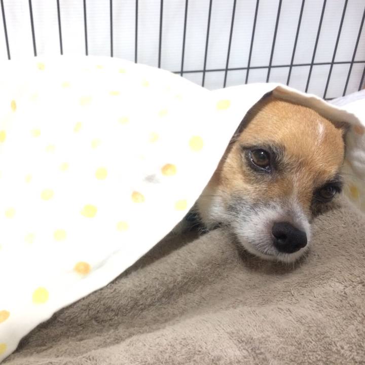 76ed34f5 d9d2 4e66 ae9a 396c606c59c5