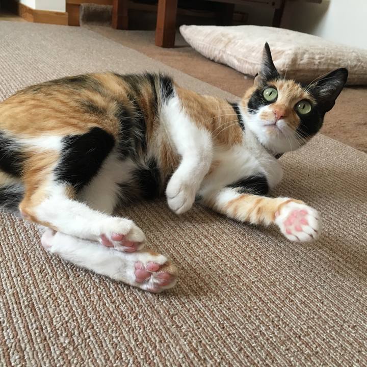 76edd304 a91e 4f50 a23a 538c1c3d2cb2