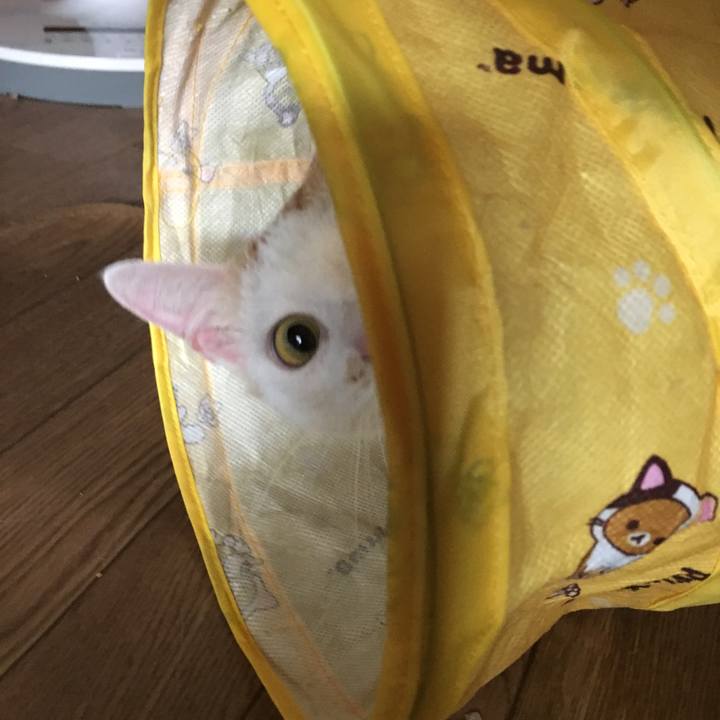 76ee1794 0a63 4bcd 9b2f 2c2749a6c0b0