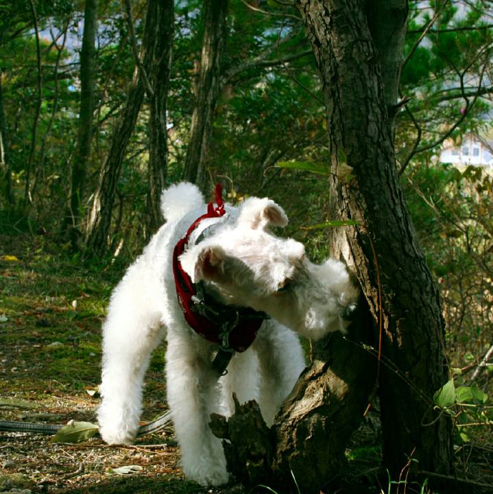 76ee26c6 cf8b 4097 98b2 a14fe72fe5f8