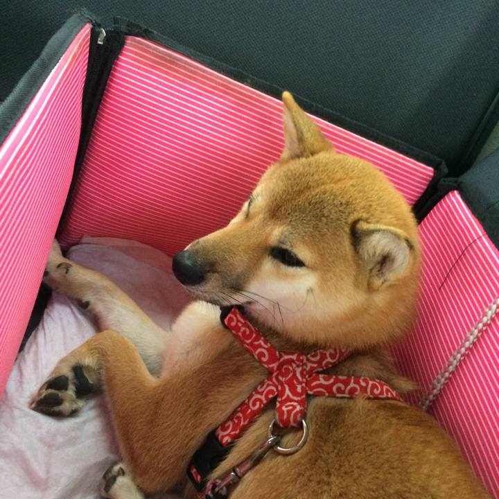 76ee5c85 480a 41de b095 d515c291440e