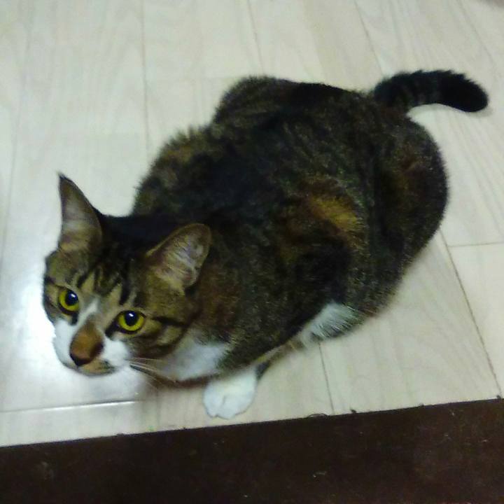 76eeb76c 4fac 41bf 8d53 6a58d0c95cb1