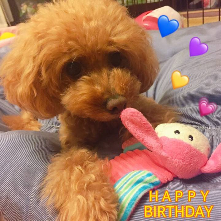 76f01015 174b 41f1 93f4 1cee51a93d78