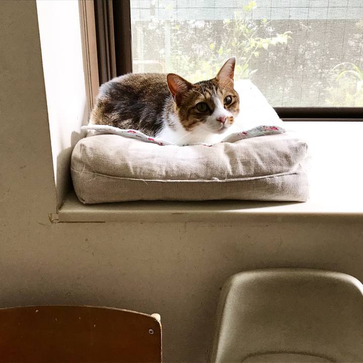 76f02b99 8cbc 45ee af3d 5bee11682a9f