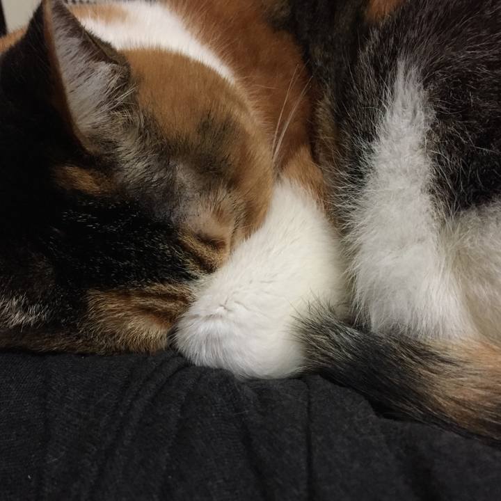 76f036df b622 4de8 9b21 c1ea53a398cc