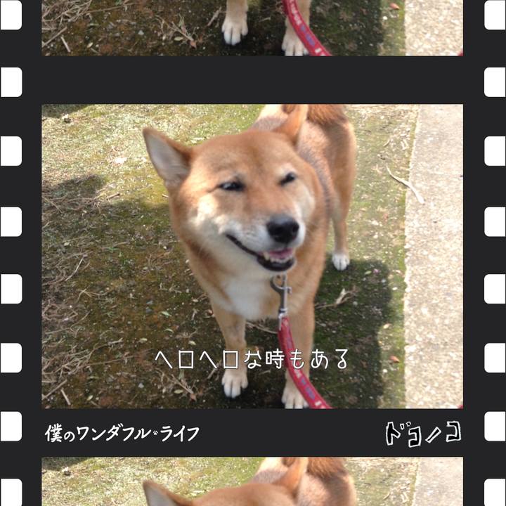 76f0f277 d7d6 4023 94f1 cde67ff5cfcd