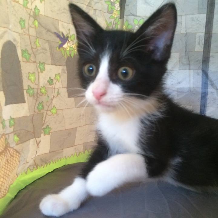 76f1f933 3f37 4e6b bd53 c1dbc1fd7eed