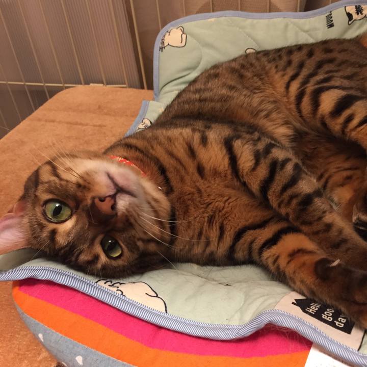 76f240fc 7867 4c3f 9288 d6b1cac2e73f