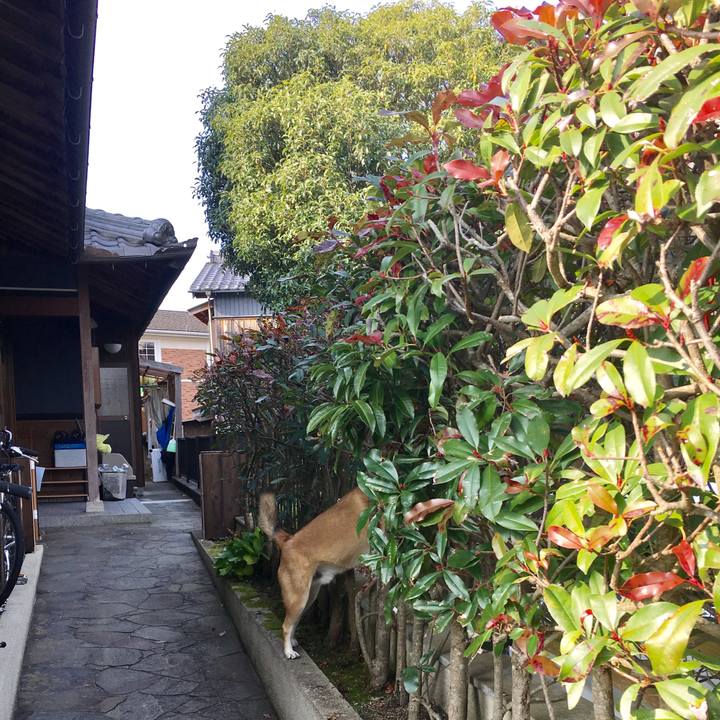 76f2664e 76a6 40b2 9560 c6748094d382