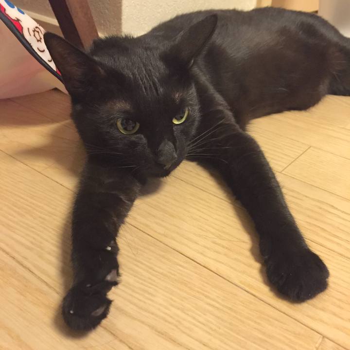 76f37f5e d70f 4d5f 8fca 0cbbb0351e8a