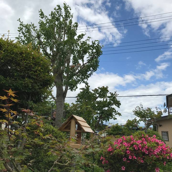 76f3957c b0cb 455d af82 b098d9109f3e