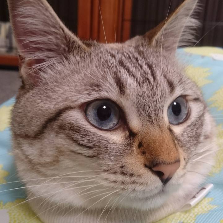 76f39c02 ddb5 44e2 b0e7 e51bd238578b