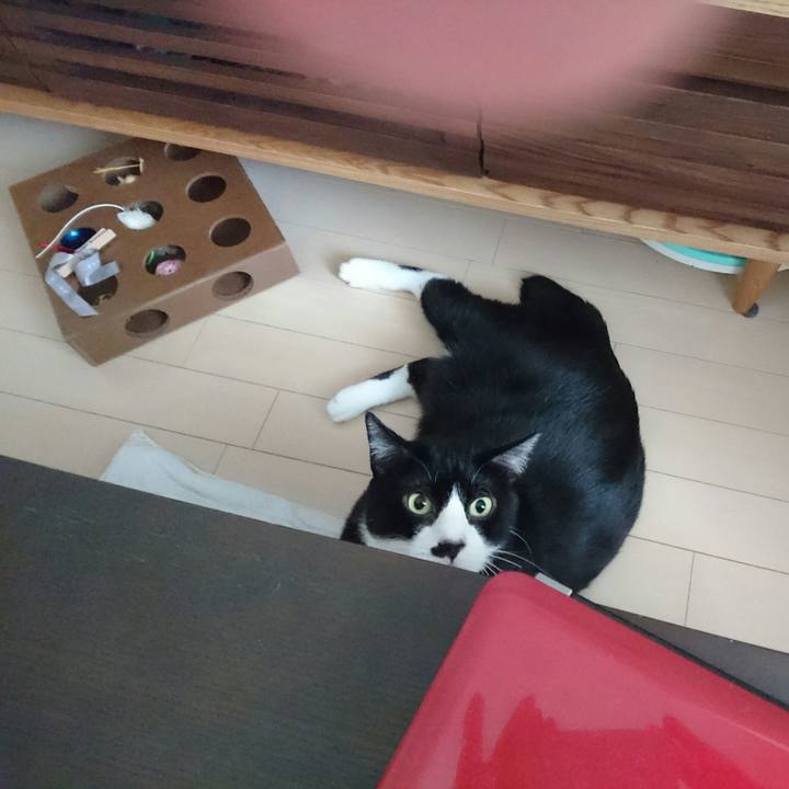 76f3a51f b9fa 43a6 9a9d 920bc2d5694f