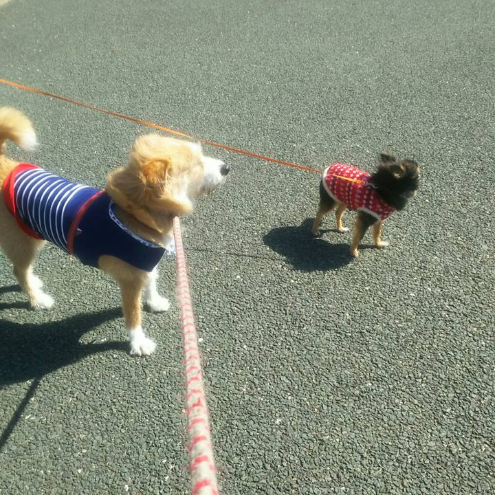 76f3a5b7 28ed 4aa1 9287 c2859d7abbc8