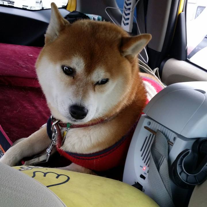 76f3bdf3 01f0 497f 821b e33e797eb7e6