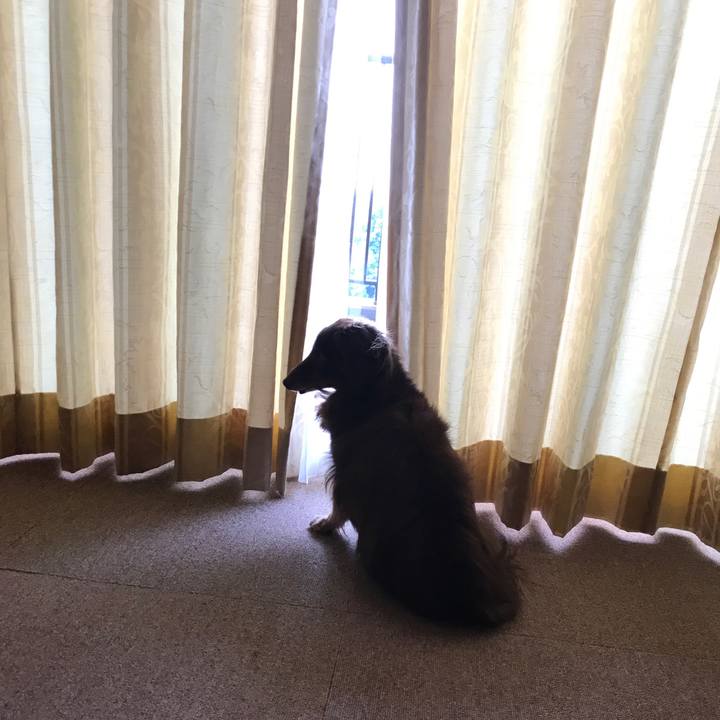 76f41978 6262 4221 8f0e fa29c3a89b7d