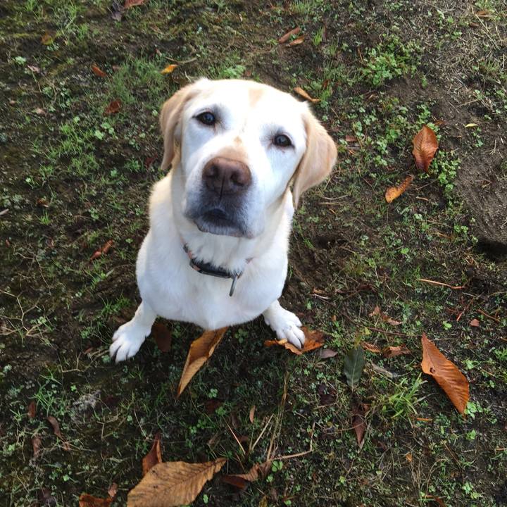 76f41f38 95bb 44d5 a65e 0324ee61b2d9