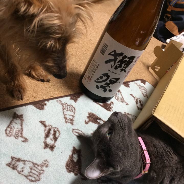 76f42660 cfe8 481a b949 af7d433e43bd