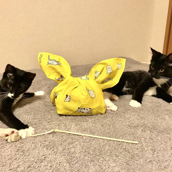 76f43048 377f 4ecd 92ef b1ec071e7700