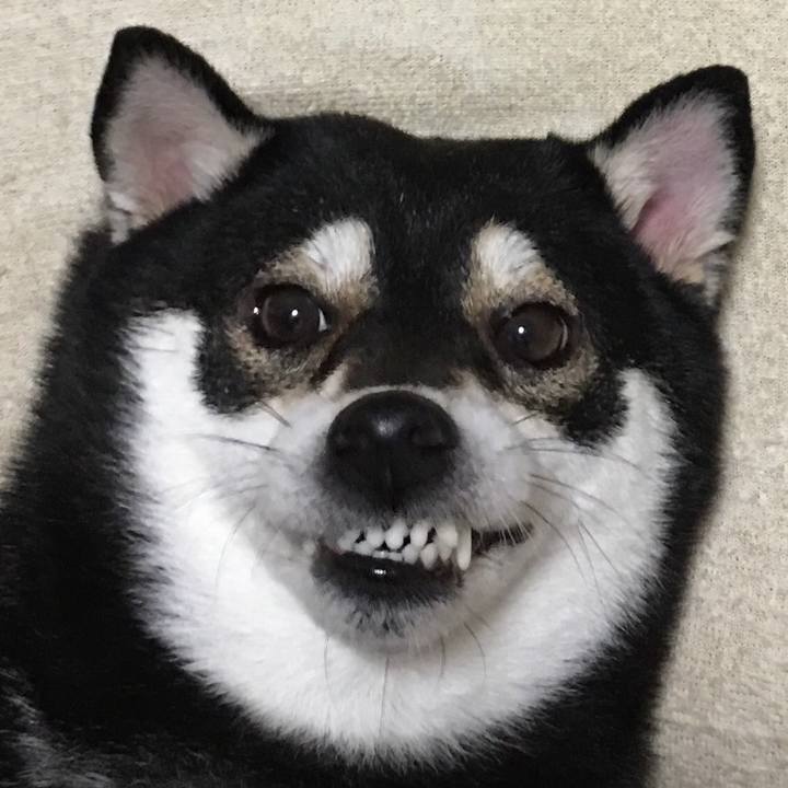 76f47ada a6dd 46b9 b27b 8e4e214e3ab1