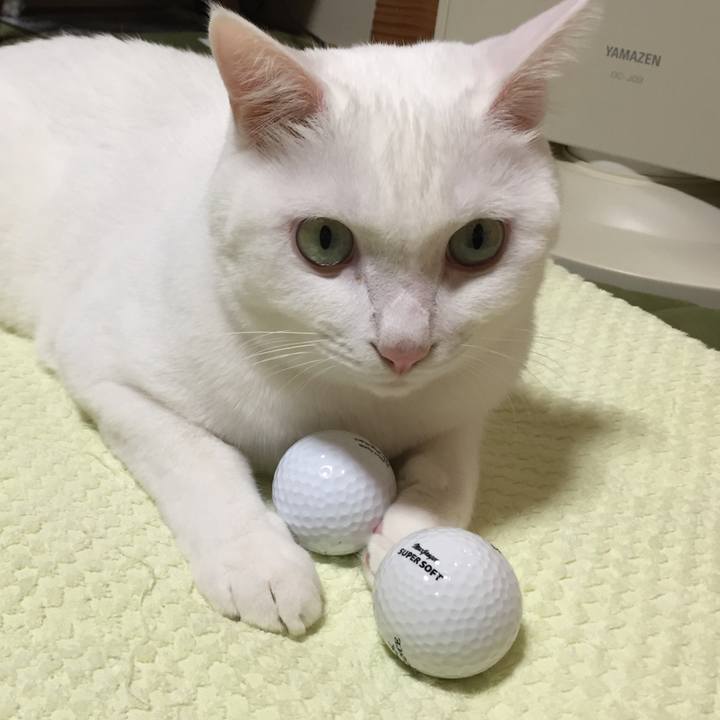 76f53d05 edf0 4178 9a4c 3df65667d188