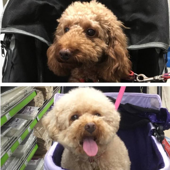 76f54d67 cb2e 4f1a b669 0609300e75e7