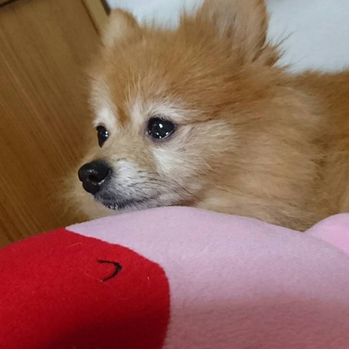 76f613cb d7da 413c ae66 3e470e99ad91