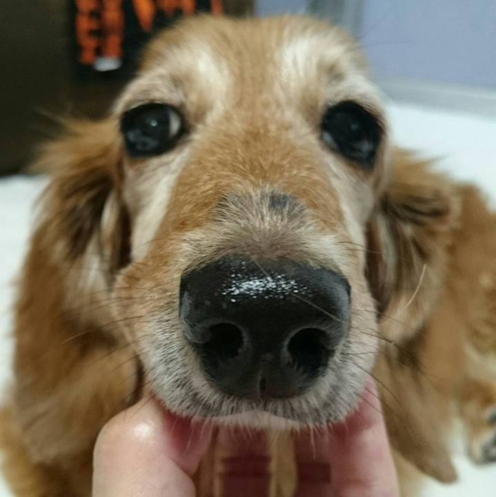 76f6424c 3126 4912 aea4 0c34f1fbab79