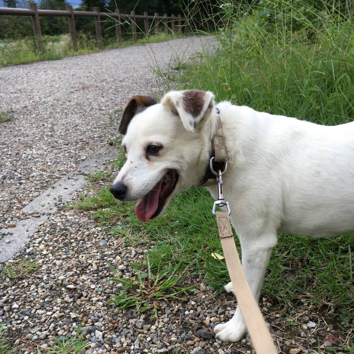 76f648a0 f8f0 4b96 b470 7085ef1bcf90