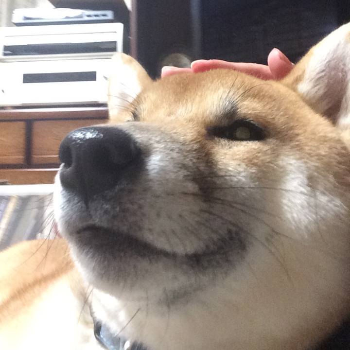 76f6c78b b097 4cfa b319 2ab108d396ea