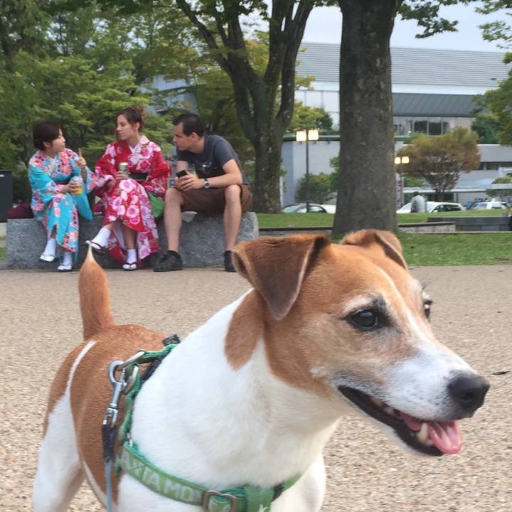 76f6e692 541e 4869 afd4 4e922022aa95