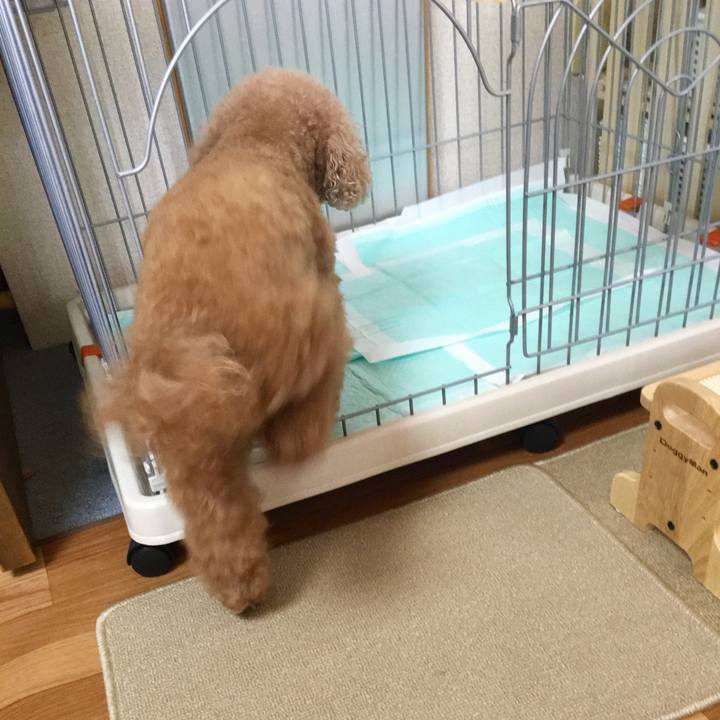 76f75b3b a013 4084 a051 8f46c0893c51