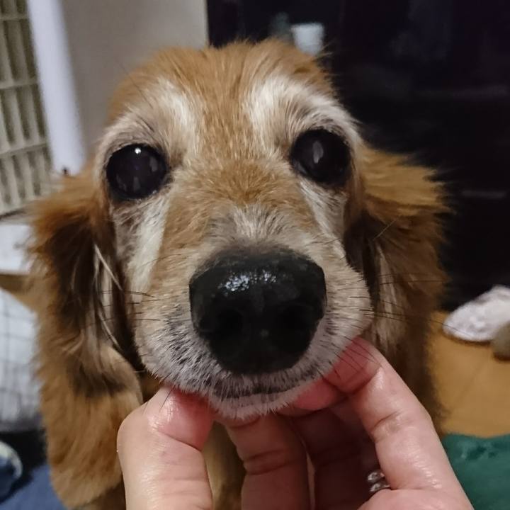 76f83ec2 3f56 4e11 8577 848e57e45637