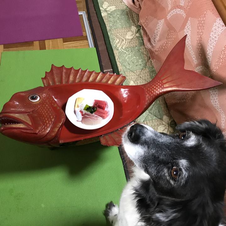 76f8871c 4e87 4665 be97 530034a05d04