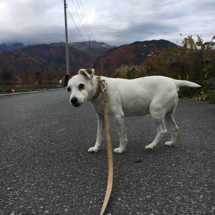 76f8917e cbdf 4ed5 8be4 3401922760f6