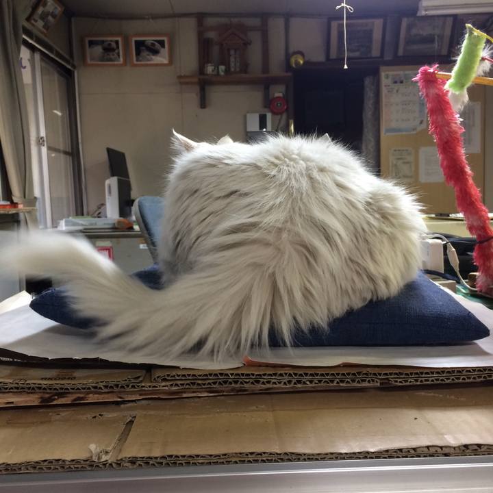 76f9776a 467b 4129 85e1 48dabcfca879