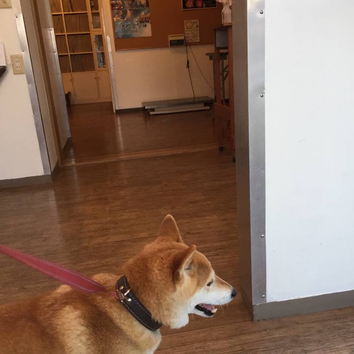 76f97d0f f58c 40cd 98a3 d2b9af04e8da