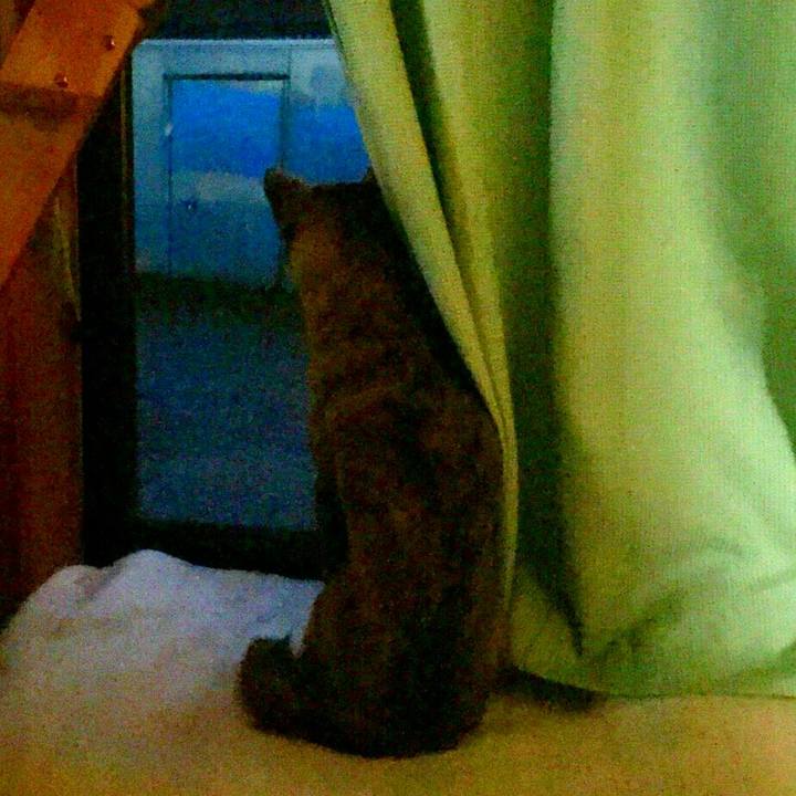 76f992c9 4bb9 4264 b4cd 468d41dc49f8