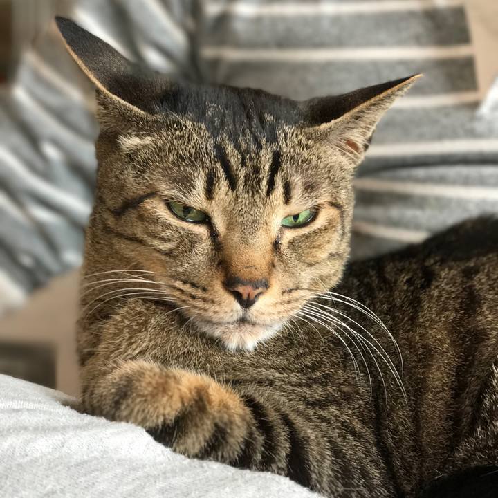 76fa047f 9a9b 49ab ac3a 71ec34a38443