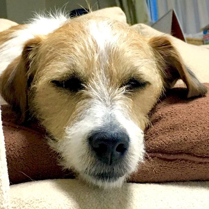 76fa068f fab8 4b3f bbed 1b9f6d6c633e