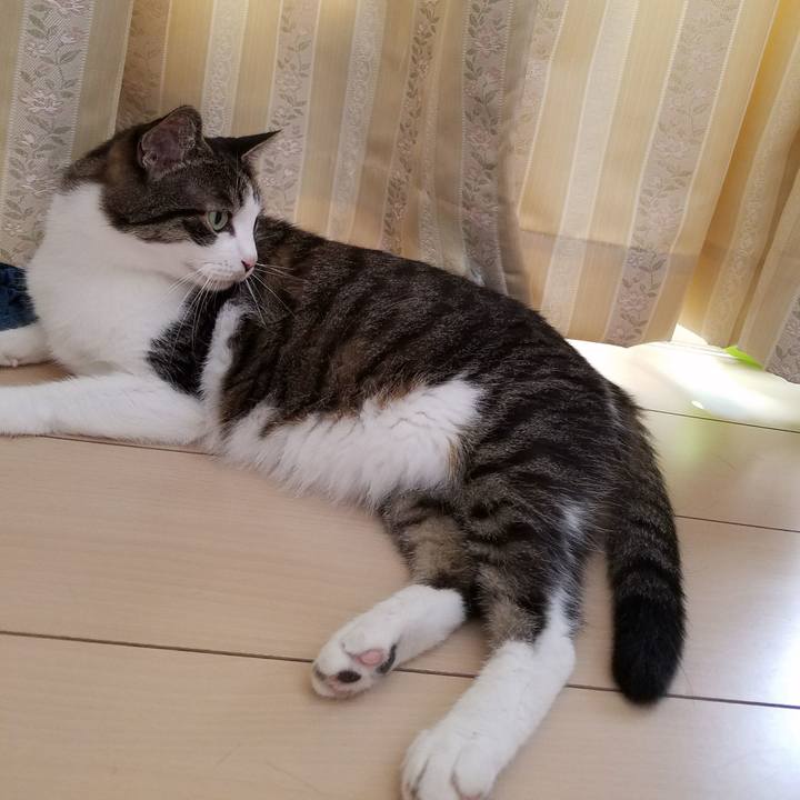 76fa5cdd 7bf5 4cd8 bad3 5db45bf7fa15