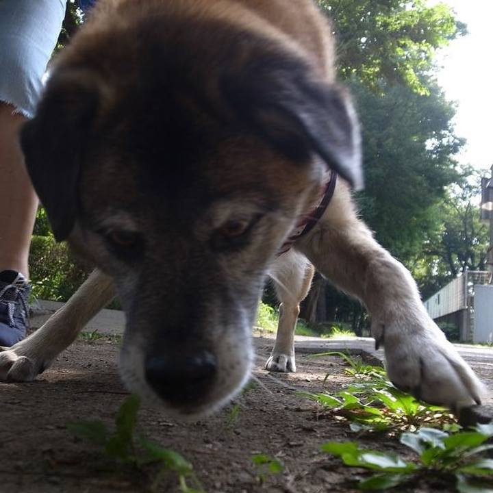 76fb06bb 0b30 4384 965c 8ed4bada6366