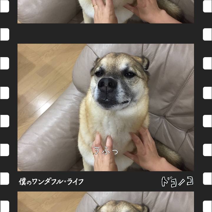 76fb0c50 ab5a 4679 a57e 7c32a01638d8