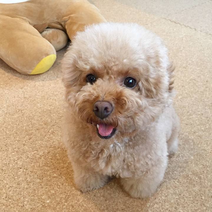 76fb1674 b468 4d59 ab90 d431d8813a18