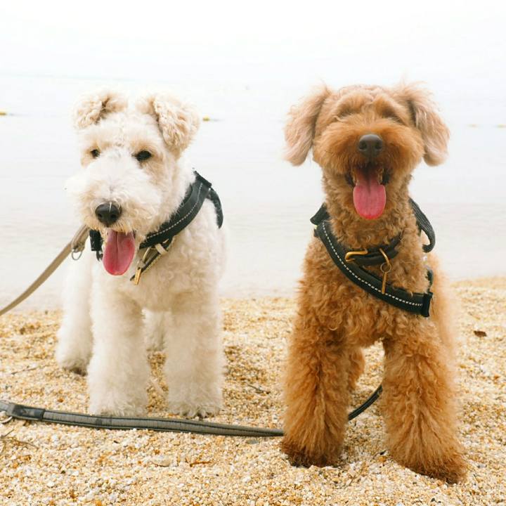 76fb721b 40bb 4540 9d33 00de44c2ff66