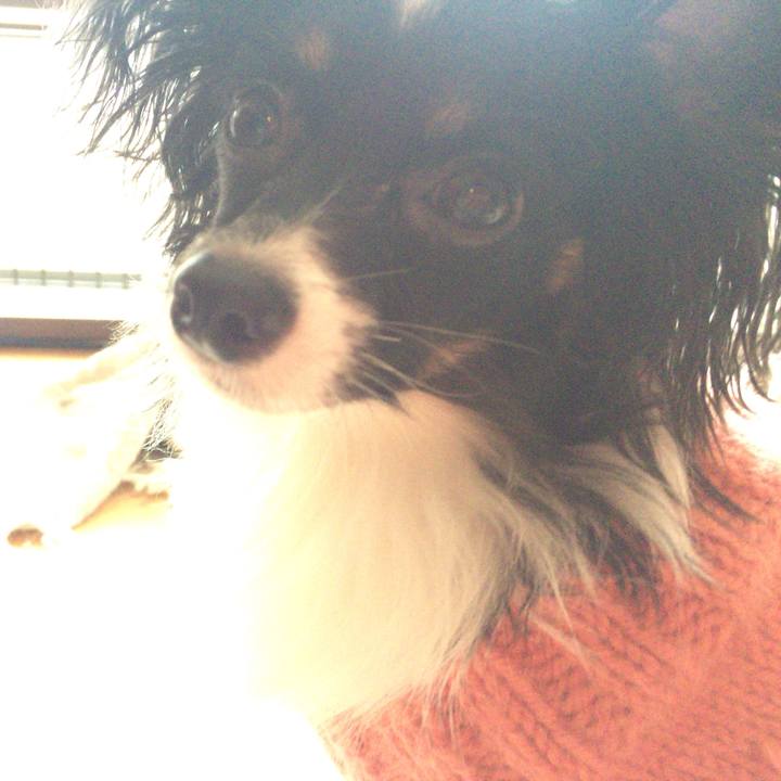 76fba6be 42f4 45a6 9240 2bc88a0ad4ec