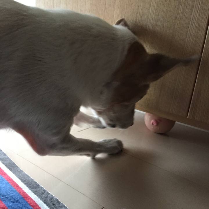 76fc1876 1b2f 42f6 a970 f53cd049b9aa