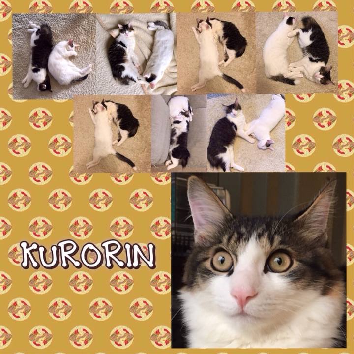 76fc18da 81ee 4788 9820 188a45a9b41b