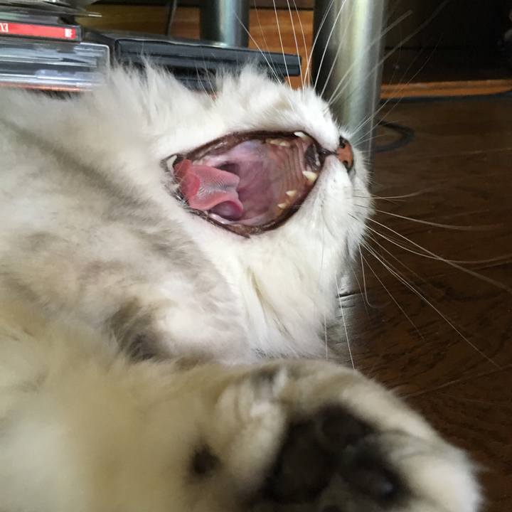 76fc73ee b3b0 4c3a aa83 eb738bf7d721